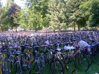 [More than a thousand racing bike in multiple rows inches apart from each other by and under trees. Some of the bikes have plastic bags near their handlebars.]